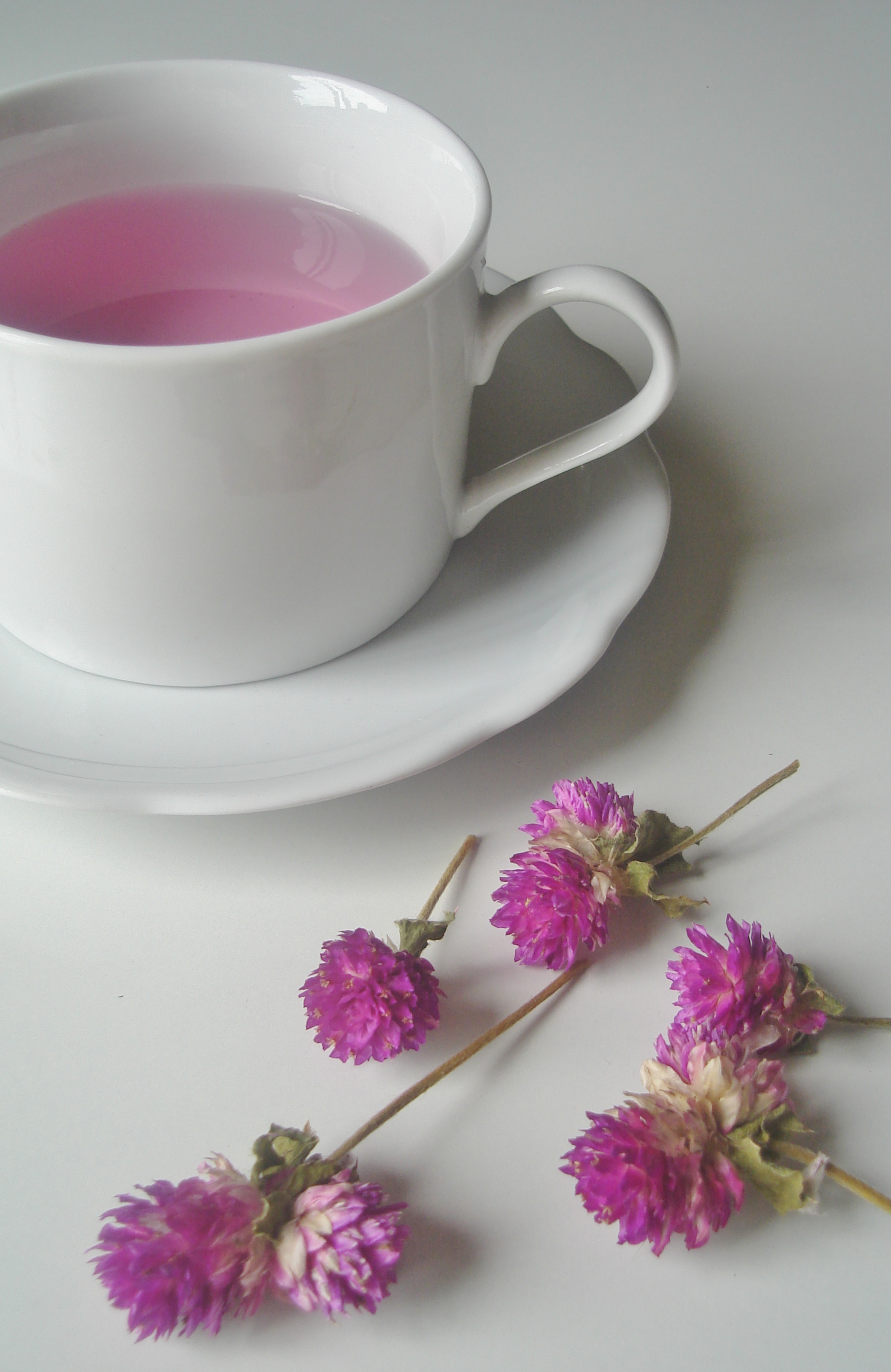 Chá de perpétua roxa – Maria mestre-cuca